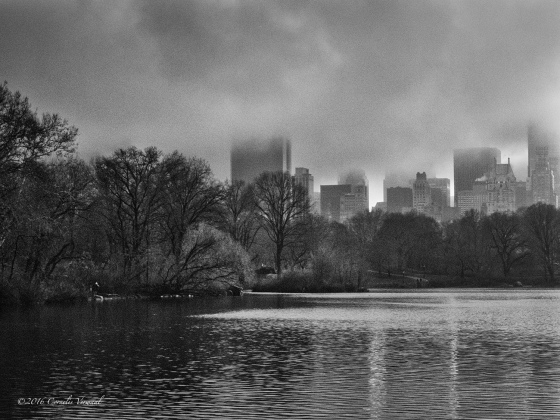 The Mid-Manhattan skyline under dark clouds seen over the Lake in Central Park.