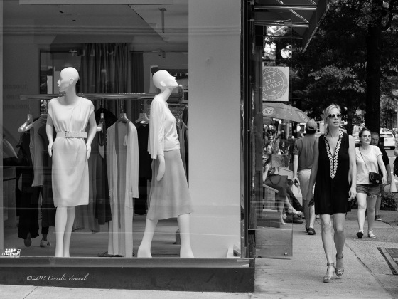 The Mimicking Mannequins